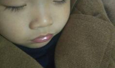 91李先生视频直播全集,揭秘精彩瞬间与幕后故事